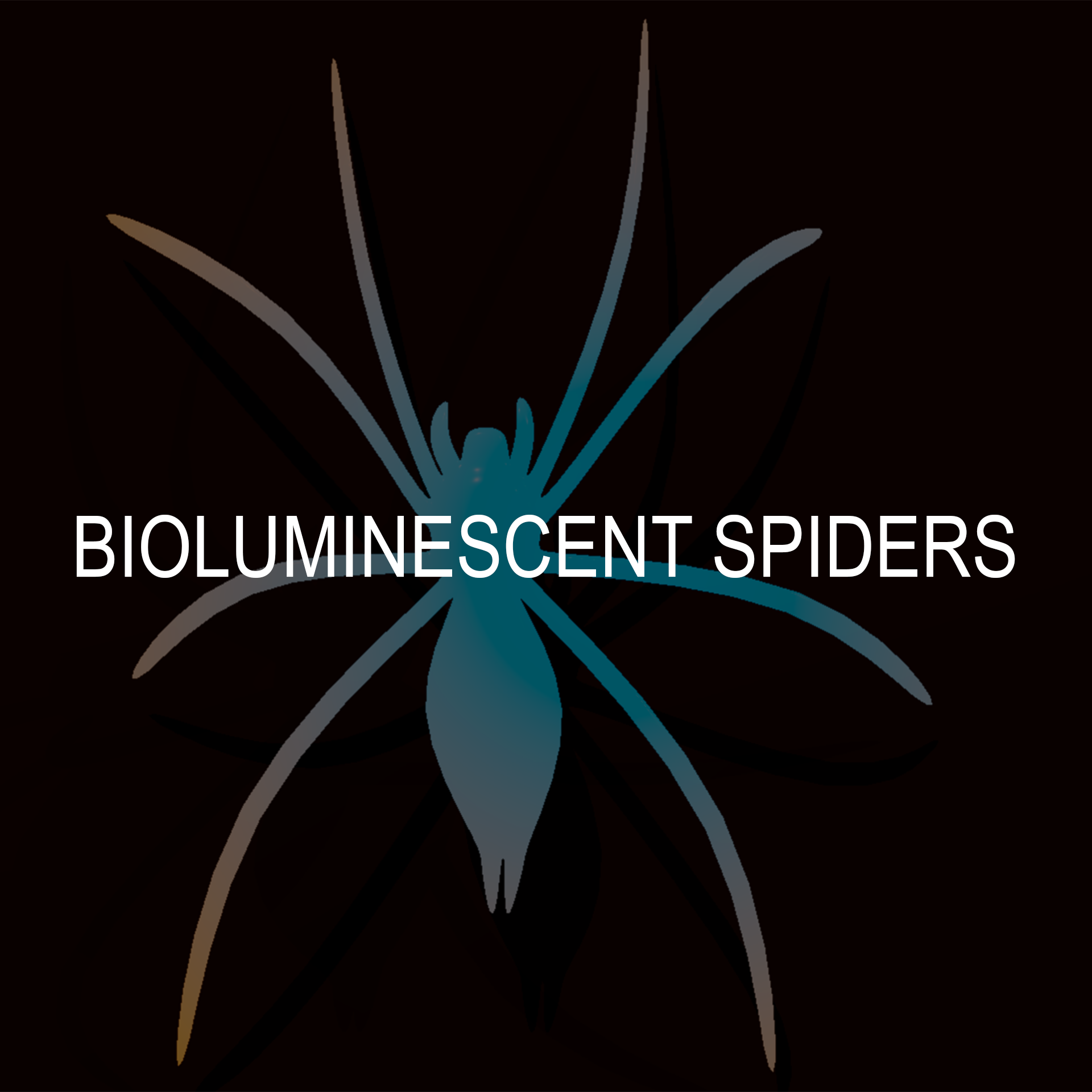 bioluminescent spiders